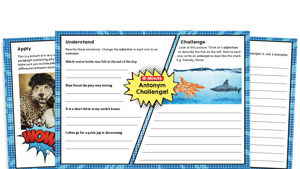 image of Antonyms Year 4 SPaG Worksheets