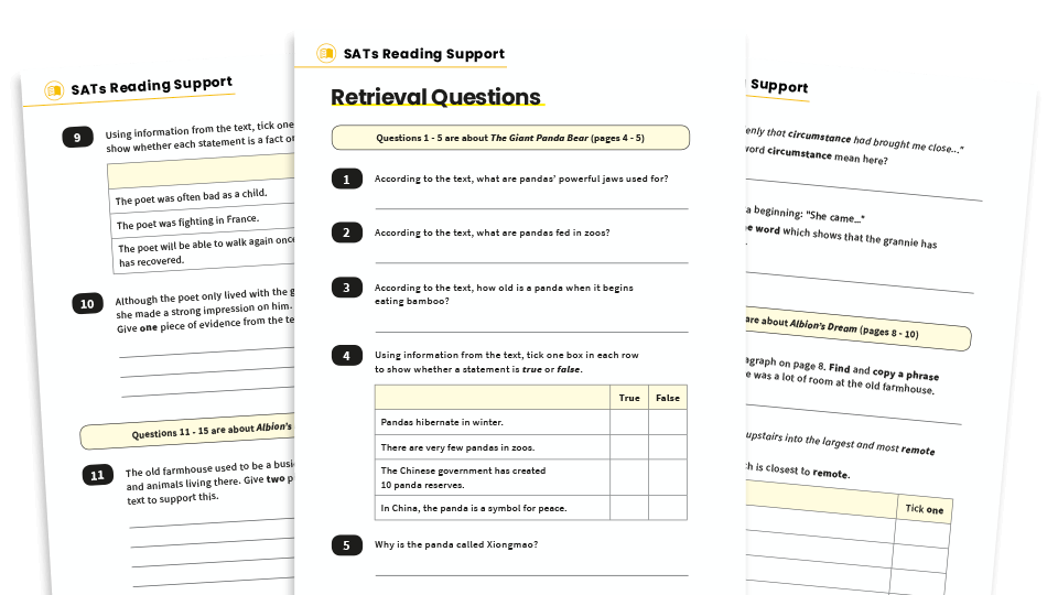 image of KS2 SATs Reading Skills Support Pack