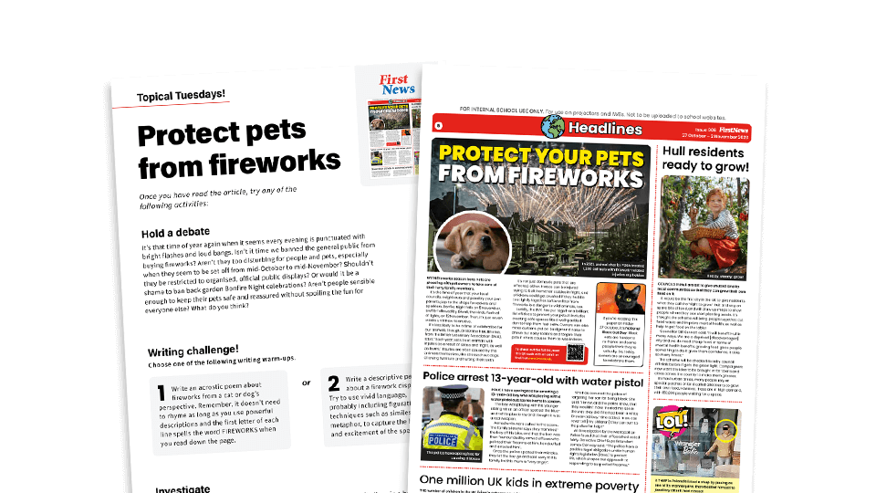 image of Protect Pets From Fireworks – Topical Tuesdays Activities from First News