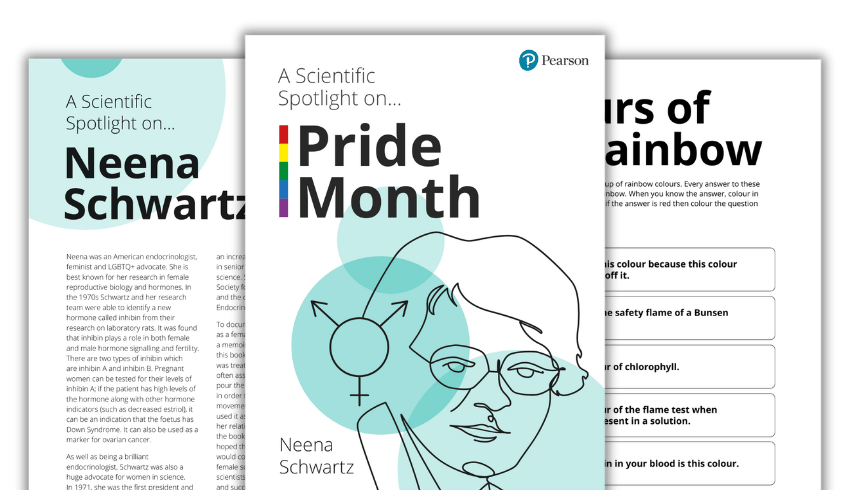 Neena Schwartz activity pack