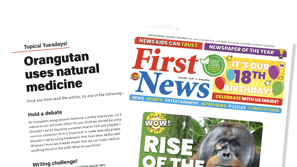 image of Orangutan Uses Natural Medicine – Topical Tuesdays Activities from First News