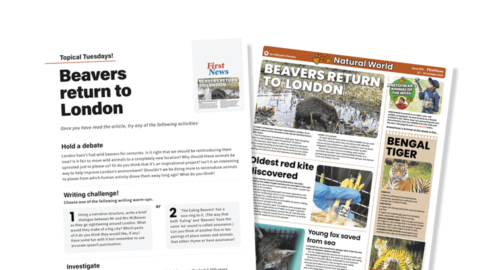 image of Beavers Return to London – Topical Tuesdays Activities from First News