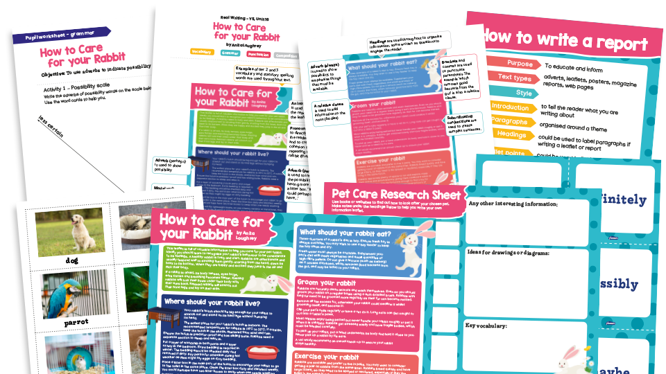 image of Year 5 Model Text Resource Pack 16: ‘How to Care for a Rabbit’ (Report; Science - habitats)