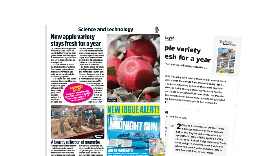 image of Topical Tuesdays: A New Crossbreed Apple Variety – KS2 News Story and Reading and Writing Activity Sheet from The Week Junior