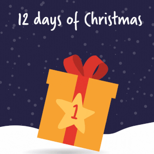 Main Image for On the 1st day of Christmas Plazoom gave to me… 