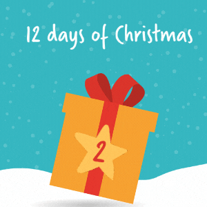 Main Image for On the 2nd day of Christmas Plazoom gave to me…