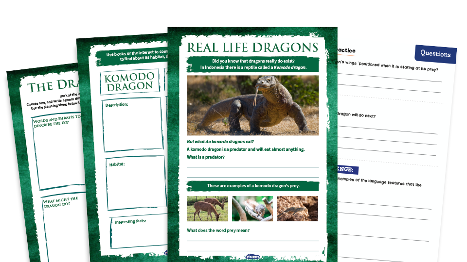 image of KS2 Home Learning Pack: Dragons