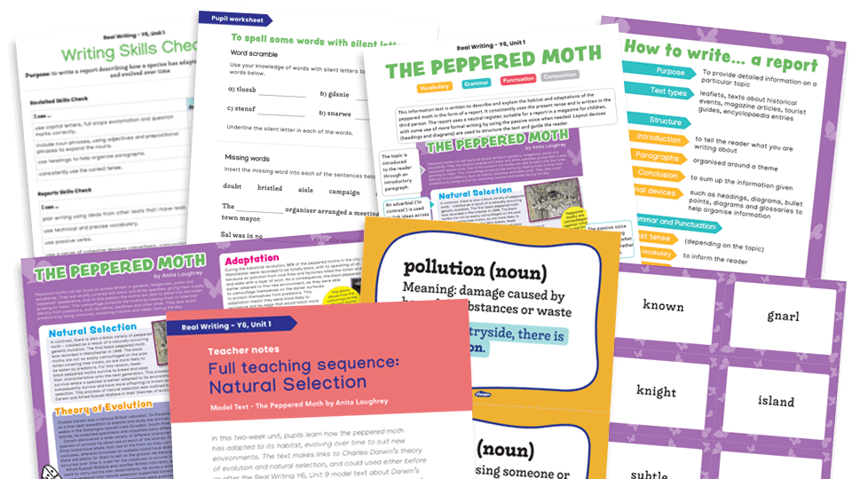 image of Year 6 Model Text Resource Pack 1: ‘The Peppered Moth’ (Report; Science - evolution)