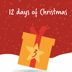 Main Image for On the 3rd day of Christmas Plazoom gave to me…