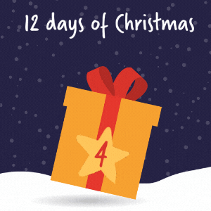 Main Image for On the 4th day of Christmas Plazoom gave to me…
