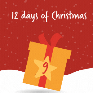 Main Image for On the 9th day of Christmas Plazoom gave to me… 