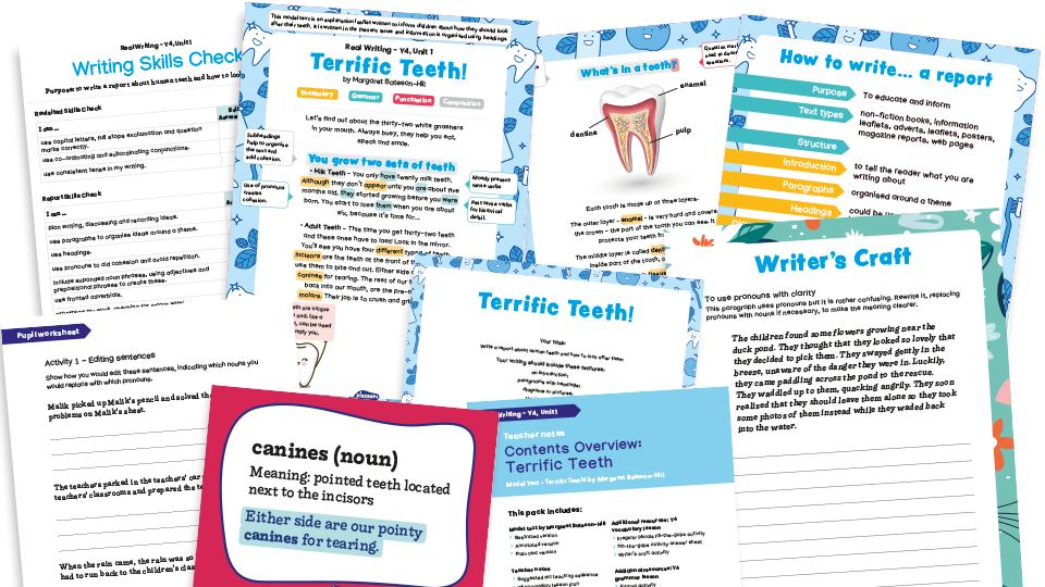 image of Year 4 Model Text Resource Pack 1: ‘Terrific Teeth!’ (Explanation Text; Science - animals including humans)