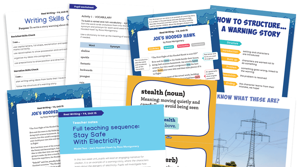 image of Year 4 Model Text Resource Pack 15: ‘Joe’s Hooded Hawk’ (Narrative; Science - electricity)