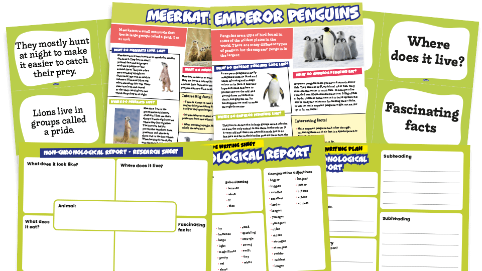 how to teach non chronological report writing ks1