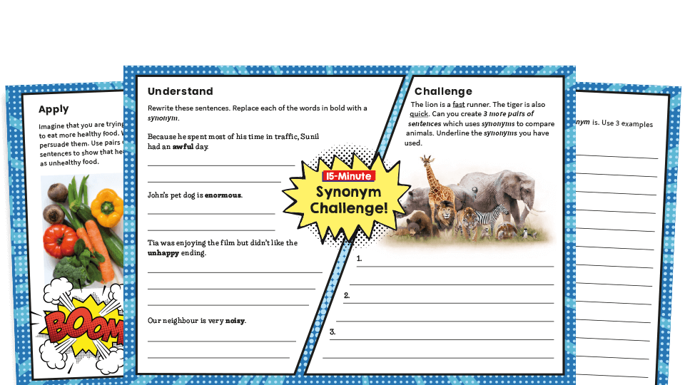 image of Year 4 Synonyms SPaG Worksheets