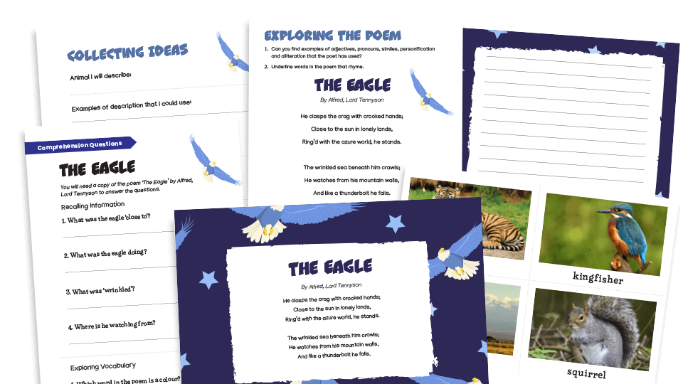 image of LKS2 ‘The Eagle’ Poetry Resources Pack – Comprehension, Vocabulary, Composition
