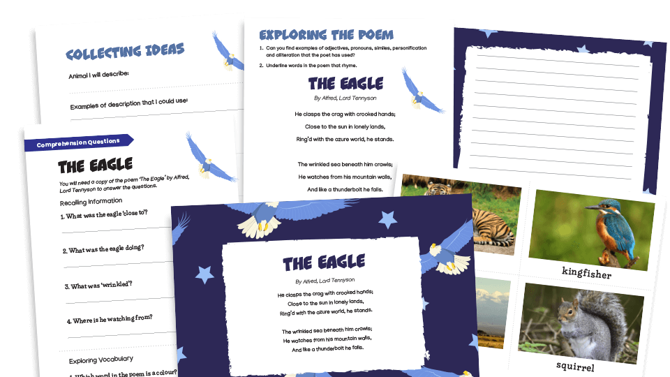 image of LKS2 Poems: ‘The Eagle’ Resources Pack – Comprehension, Vocabulary, Composition