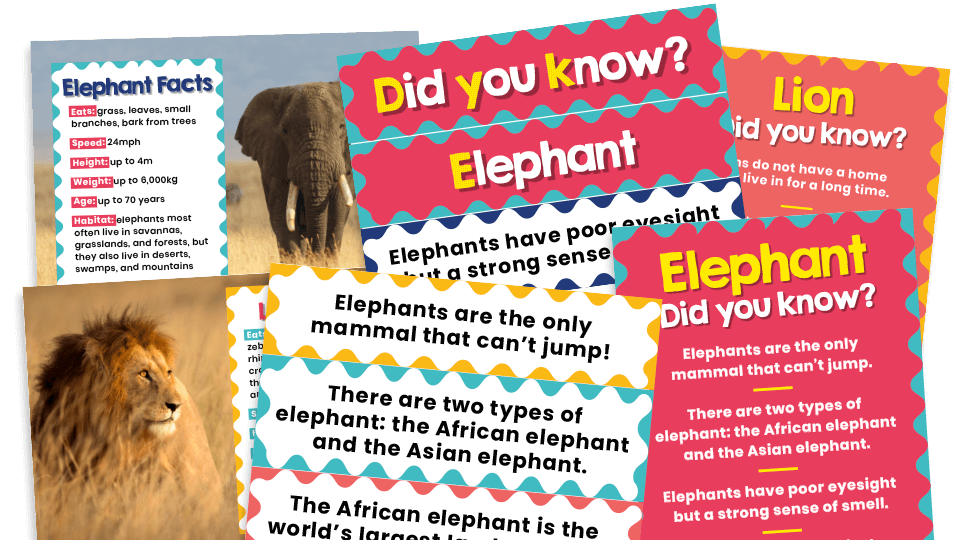 image of KS1 Science – Zoo Animal Posters for Classroom Displays and Inspiration