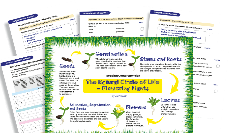 image of Year 3 Non-fiction Reading Comprehension Worksheets (with KS2 content domain coverage sheet): The Natural Circle of Life