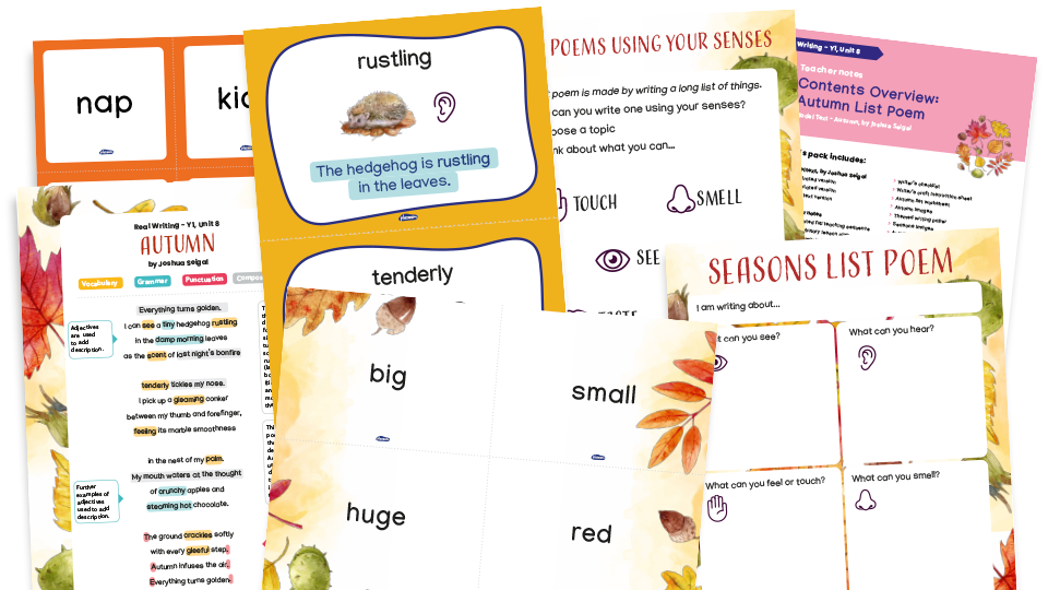 image of Year 1 Model Text Resource Pack 8: Autumn (Poem; geography - seasonal changes and weather patterns; science - the senses)