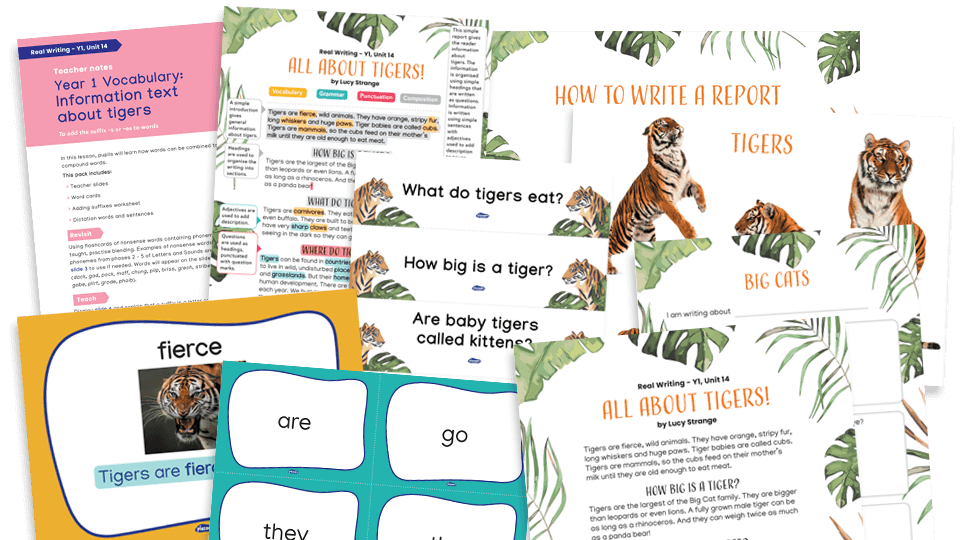 image of Year 1 Model Text Resource Pack 14: All About Tigers! (Report; science - naming common animals)