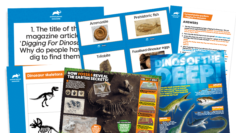 image of Dinosaurs and Fossils – KS2 Comprehension and Writing Activities Pack