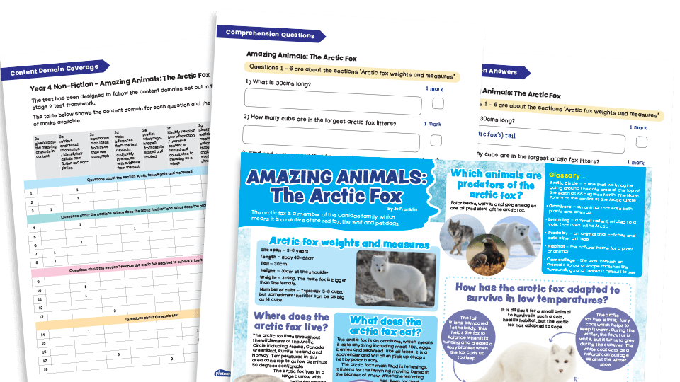 image of Year 4 Non-fiction Reading Comprehension Worksheets (with KS2 content domain coverage sheet): Amazing Animals