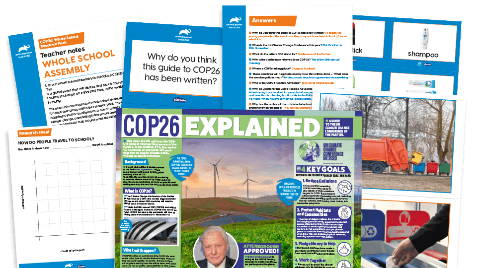 image of COP26 - Our Climate Manifesto: Whole-school Assembly and Activities Project Pack