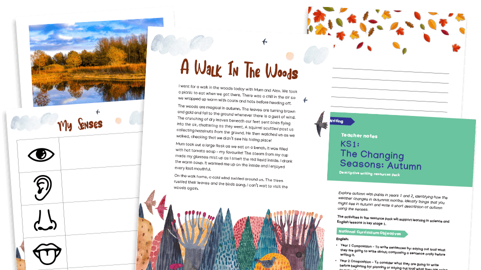 image of KS1 Descriptive Writing Pack: Autumn (the changing seasons)