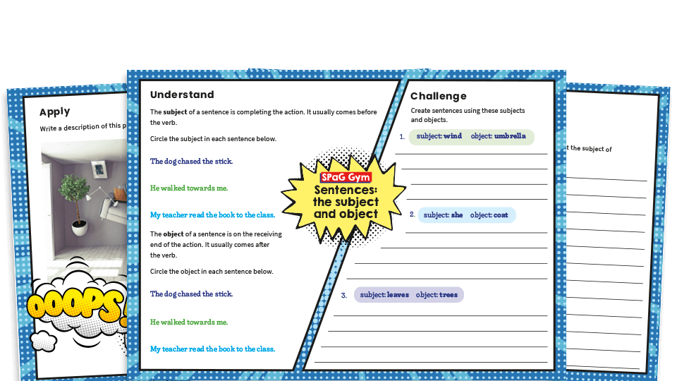 image of Year 6 Subject and Object - KS2 Grammar Worksheets