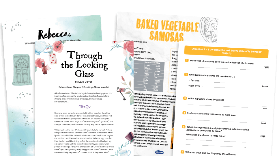 image of Year 5 SATs Reading Assessment Practice Pack - Set A