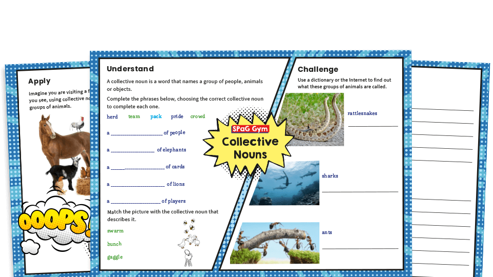 image of Year 4 Collective Nouns - KS2 Grammar Worksheets