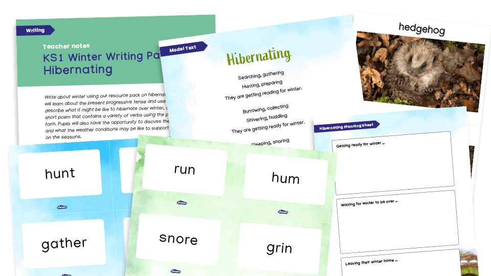 image of KS1 Descriptive Writing Pack - Present Progressive: Winter (hibernating)