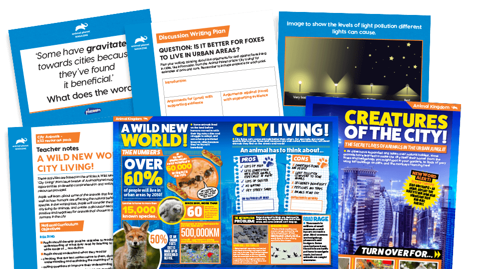 A Wild New World and City Living - KS2 Comprehension and Writing Activities Pack