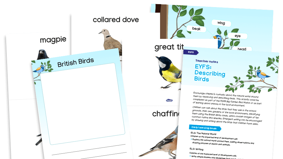 image of EYFS Describing Birds - oracy and emergent writing resources pack