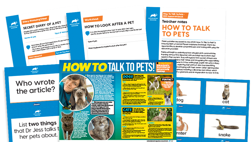 image of How to Talk to Animals: KS2 Comprehension and Writing Activities Pack