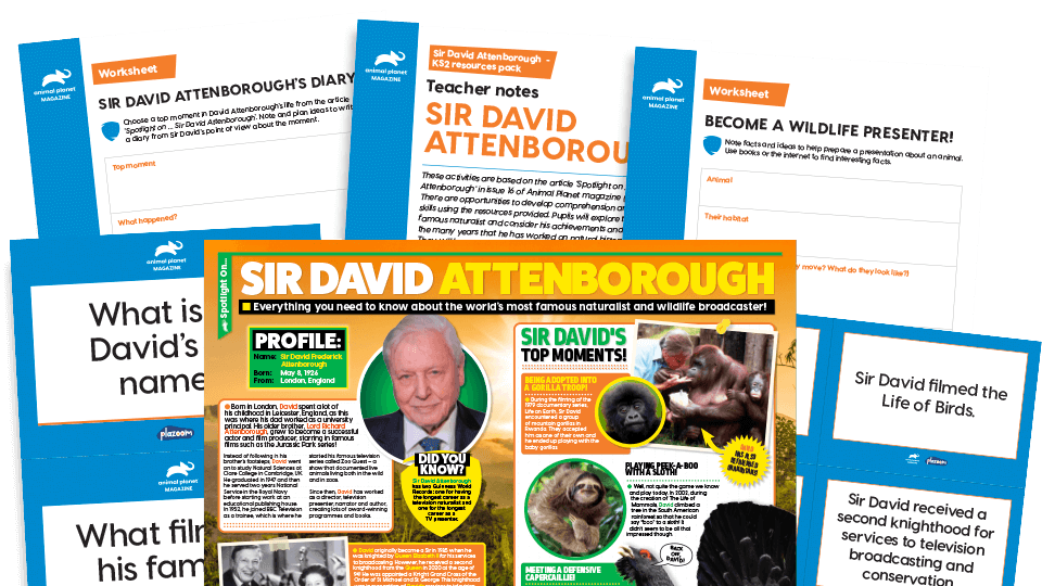 image of Spotlight on… Sir David Attenborough: KS2 Comprehension and Writing Activities Pack