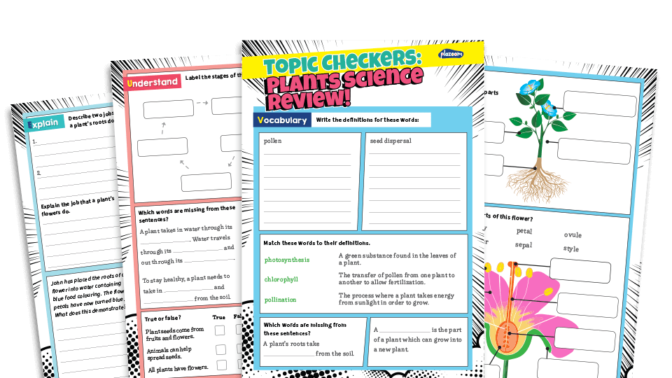 image of Science Topic Checker: Year 3 - Plants