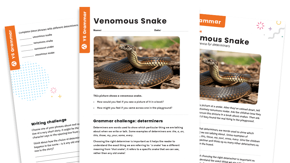 image of Year 6 Determiners – KS2 ‘Venomous Snake’ SPaG Worksheet