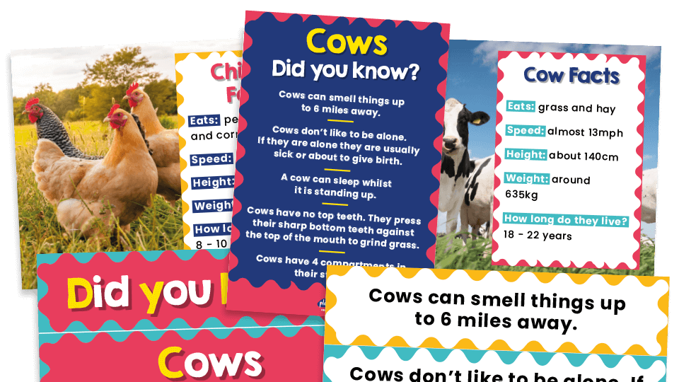 image of KS1 Science – Farm Animal Facts Posters for Classroom Displays and Inspiration