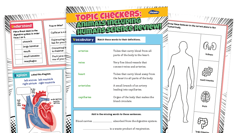 image of Science Topic Checker, Year 6: Animals Including Humans