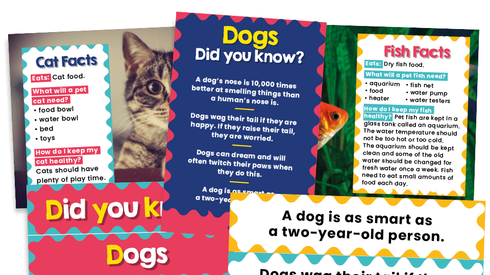 image of KS1 Science – ‘Pet Facts’ Posters for Classroom Displays and Inspiration