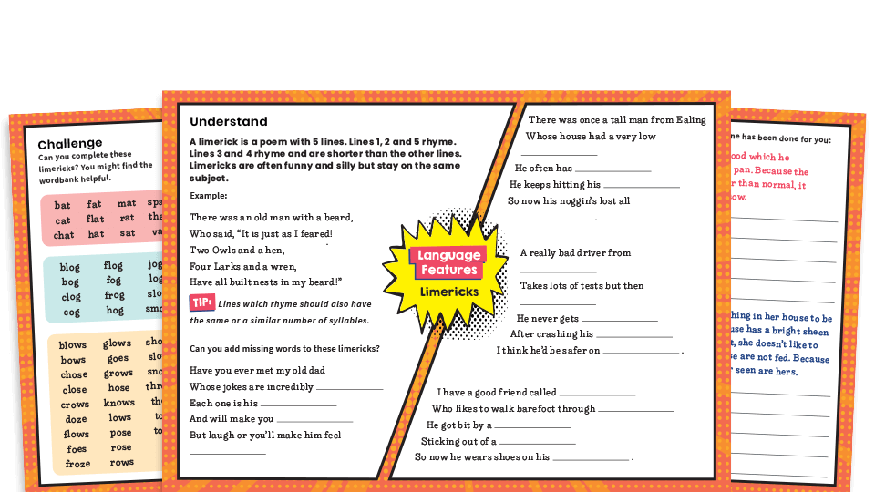 image of Limericks – KS2 Poems: Writing Features Challenge Mat Worksheets