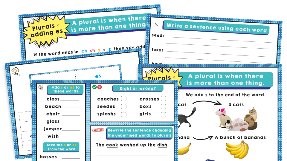 image of Year 1 Plurals – KS1 SPaG Activities Pack