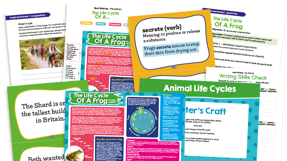 image of Year 5 Model Text Resource Pack 24: ‘The Life Cycle of a Frog’ (Explanation Text; Science - life cycles)