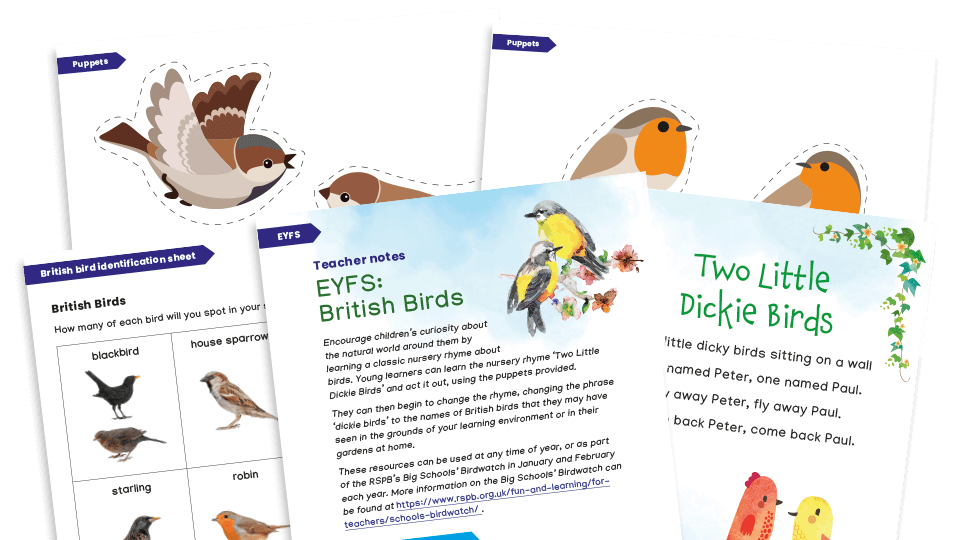 image of Big Schools’ Bird Watch - Two Little Dickie Birds: EYFS Understanding the World Activities Pack