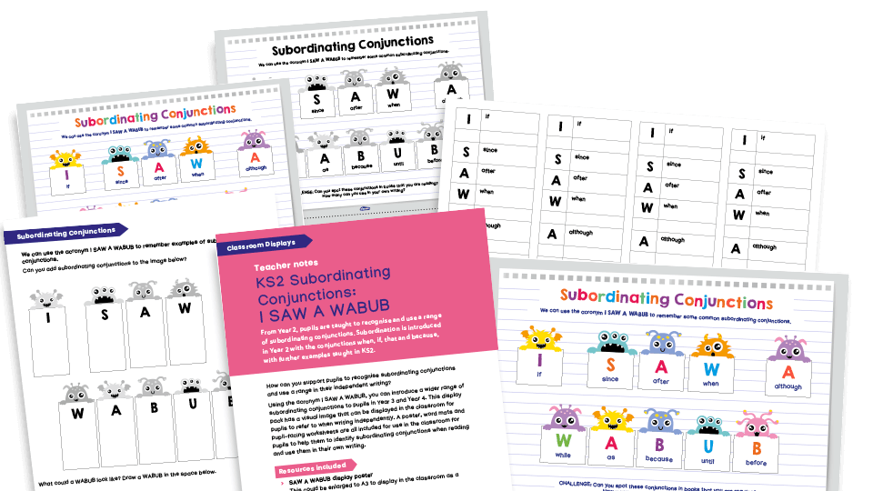 image of I SAW A WABUB – KS2 classroom display