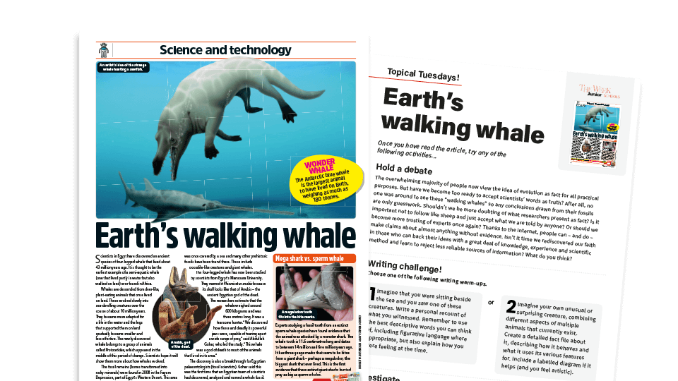 image of Topical Tuesdays: A Walking Whale - KS2 News Story and Reading and Writing Activity Sheet from The Week Junior