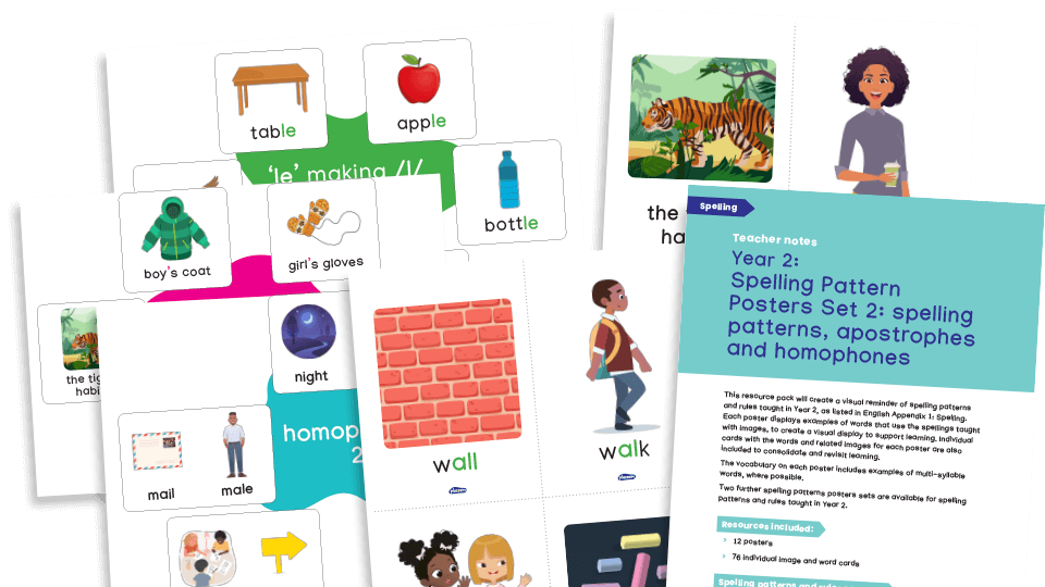 image of Year 2 Spellings: Spelling Patterns Posters and Flashcards (pack 2)