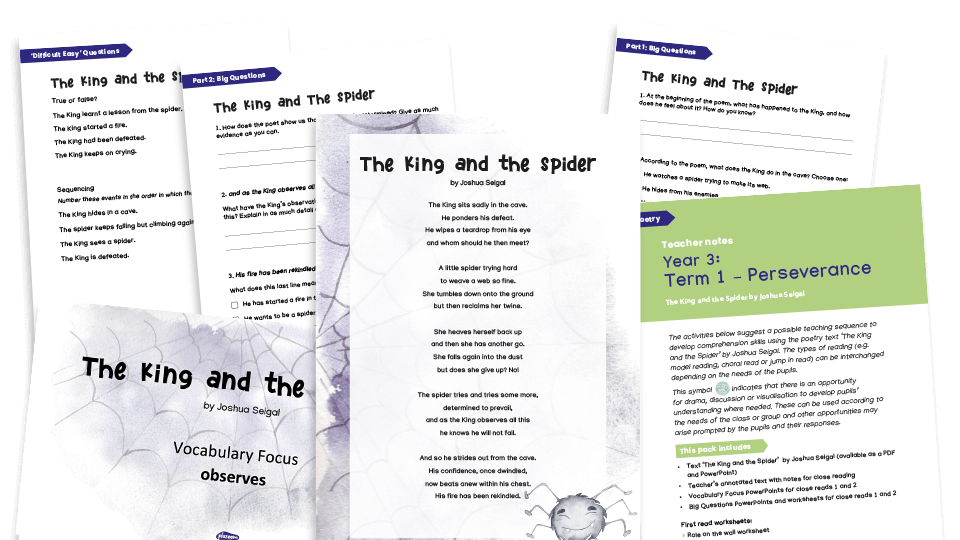 image of Year 3 Reading Comprehension (autumn): The King and the Spider
